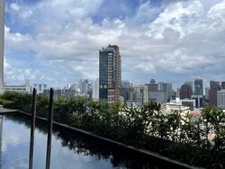 The Scotts Tower (D9), Condominium #346942281